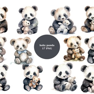 17 Baby Pandas Acuarela Clipart, Kids Clipart, imágenes individuales PNG sobre fondo transparente, sublimación