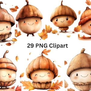29 Whimsical Acorns Clipart, Whimsical Clipart, PNG individual images on transparent background, sublimation