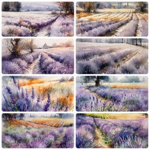 Hermoso paquete de campos de lavanda, 15 imágenes PNG, acuarela, alta calidad, 12x12, uso comercial