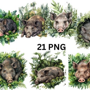 Collection de cliparts nid de sanglier dans la forêt - 21 illustrations de sangliers au feuillage luxuriant au format PNG, images individuelles au format PNG sur fond transparent