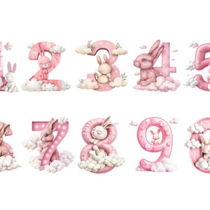 Aquarell Pink Rabbit Zahlen Clipart, PNG Einzelbilder auf transparentem Hintergrund, Sublimation, kommerzielle Nutzung