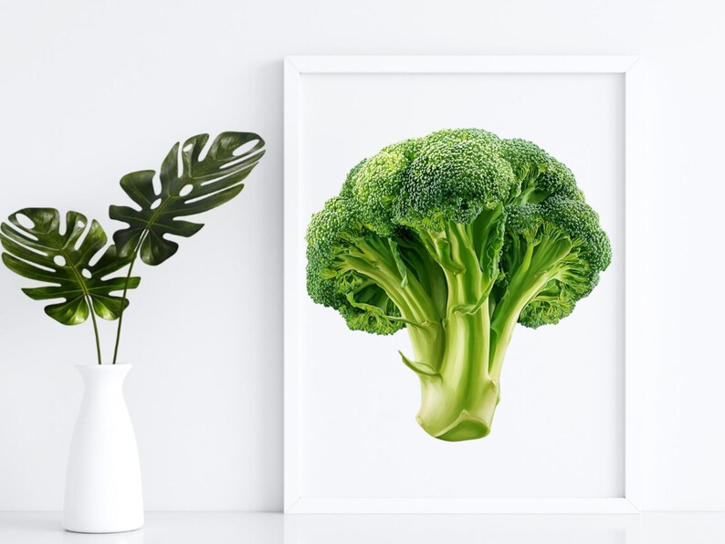 28 Clipart Broccoli Bundle, Green Vegetable PNG, Healthy Food ...