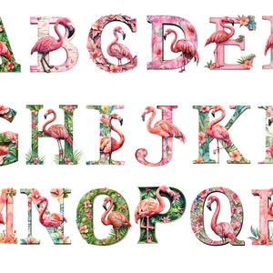 Clipart dell'alfabeto dei fenicotteri dell'acquerello, singole immagini PNG su sfondo trasparente, sublimazione, uso commerciale