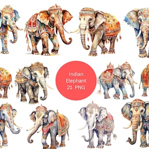 21 indische Elefanten Aquarell Clipart, Indien Clipart, PNG einzelne Bilder auf transparentem Hintergrund, Sublimation
