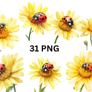 Pode incluir: Um conjunto de 31 ilustrações digitais de joaninhas em margaridas amarelas. As joaninhas são vermelhas com manchas pretas e as margaridas têm pétalas amarelas e um centro amarelo.
