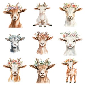 May include: Nine watercolor illustrations of goats wearing flower crowns. Each goat has a different colored crown and a different expression. The goats are all facing forward and have their heads tilted slightly to the side.