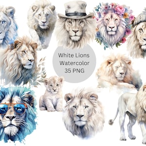 Clipart de leões brancos em aquarela, arquivos digitais PNG em fundo transparente, sublimação, uso comercial