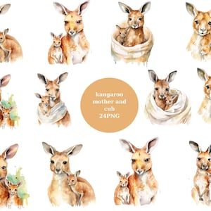 24 Känguru Mutter und Junge Aquarell Clipart, Tiere Clipart, PNG einzelne Bilder auf transparentem Hintergrund, Sublimation