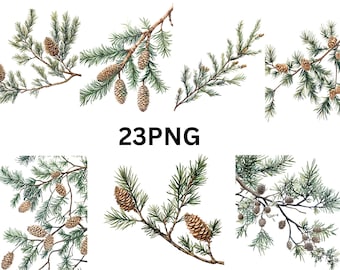 Watercolor Pine Branches with Cones Clipart - 23 PNG Botanical Illustrations, PNG individual images on transparent background, sublimation