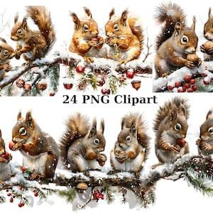 24 écureuils festifs sur une branche Clipart, clipart Noël, images individuelles PNG sur fond transparent, sublimation