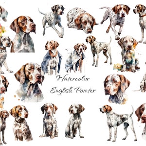 Watercolor English Pointer Clipart, PNG digital files, dog breeds, scrapbook, invitations, commercial use, instant download
