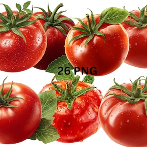 26 Tomato Clipart Bundle, Fresh Tomato PNG, Digital Realistic Vegetable, Transparent Background,Commercial Use, Instant Download