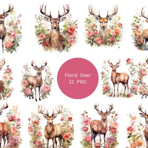 12 Floral Deer Aquarell Clipart, Floral Clipart, PNG einzelne Bilder auf transparentem Hintergrund, Sublimation