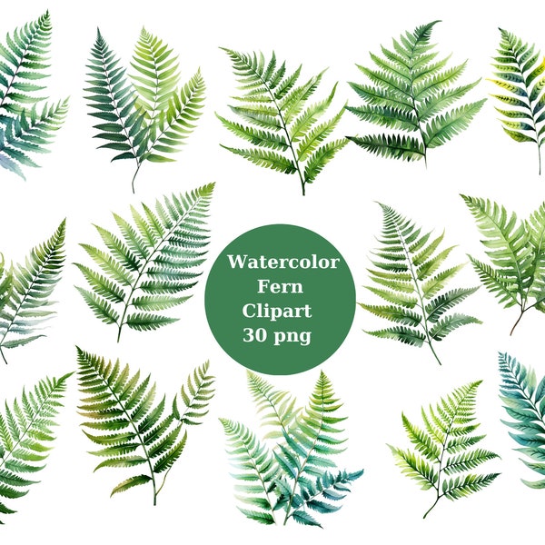 Watercolor Ferns Clipart, Leaves , Ferns PNG digital files on a transparent background, instant download for commercial use