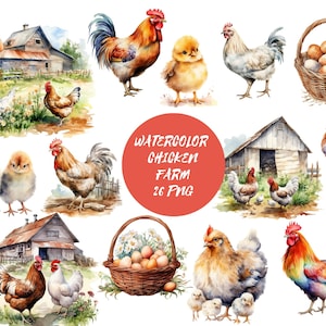 Aquarelle Chicken Clipart PNG fichiers numériques sur fond transparent, scrapbook, sublimation, utilisation commerciale