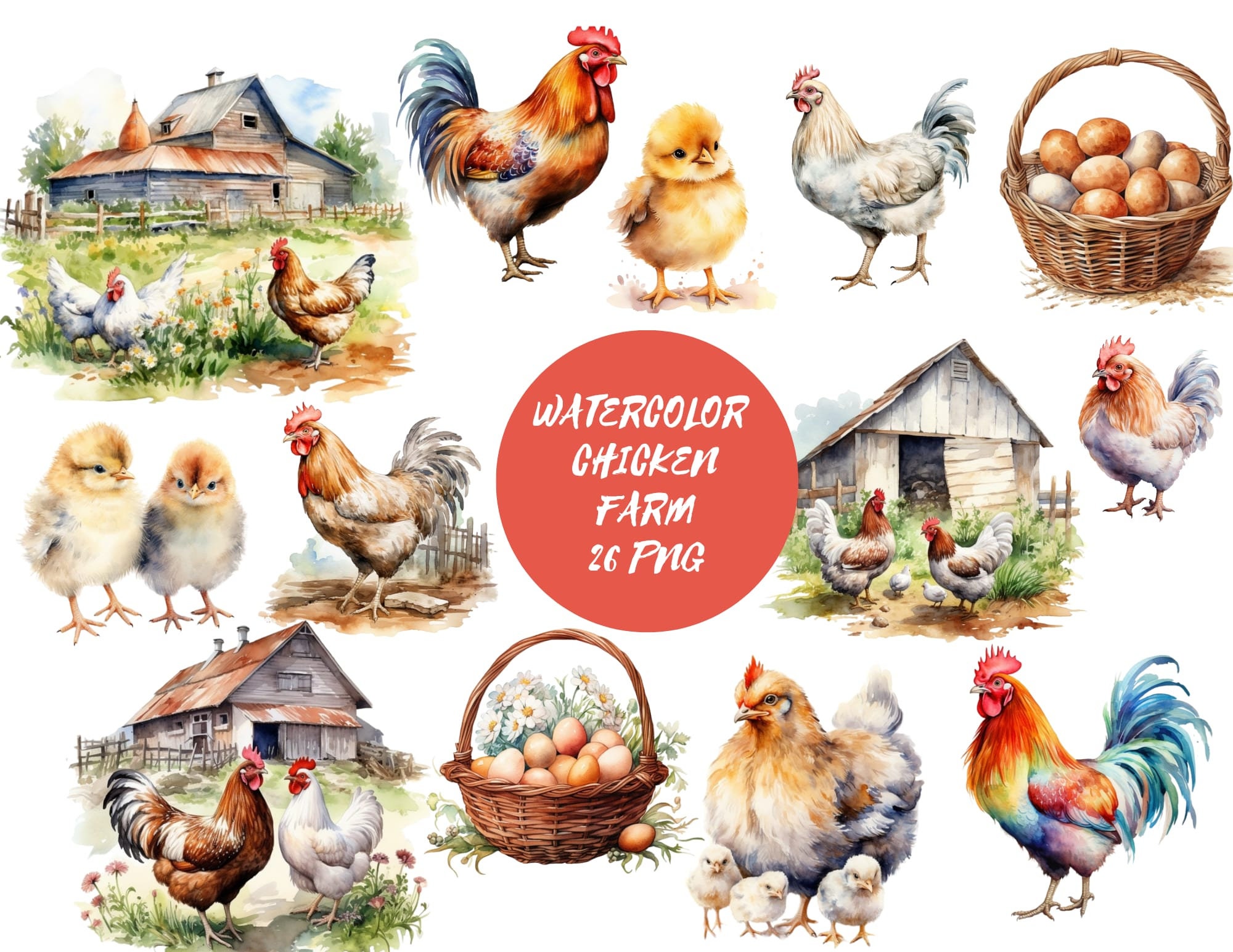 Watercolor Chicken Clipart PNG digital files on transparent background, scrapbook, sublimation, commercial use