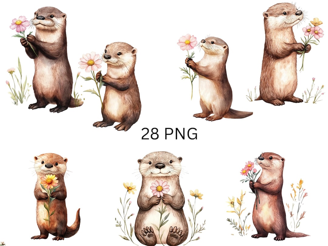 Floral Otter Clipart - Cute Otters Holding Flowers - 28 PNG Individual ...