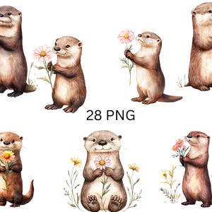 Clipart floral loutre - jolies loutres tenant des fleurs - 28 images individuelles PNG sur fond transparent, sublimation