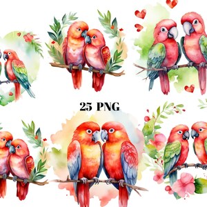 25 Clipart ad acquerello di pappagalli romantici, pappagalli innamorati, file digitali PNG su sfondo trasparente, sublimazione, uso commerciale