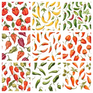Chilli Peppers Digital Paper, fondo de pantalla, diseño imprimible, 20 imágenes JPG, 3600x3600 píxeles, 300 ppp