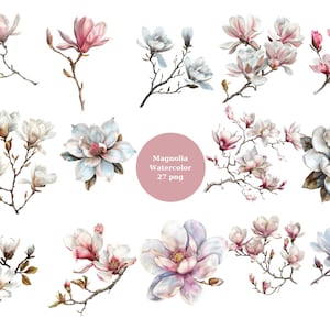 Watercolor Magnolia Clipart, Floral PNG individual images on transparent background, sublimation, commercial use