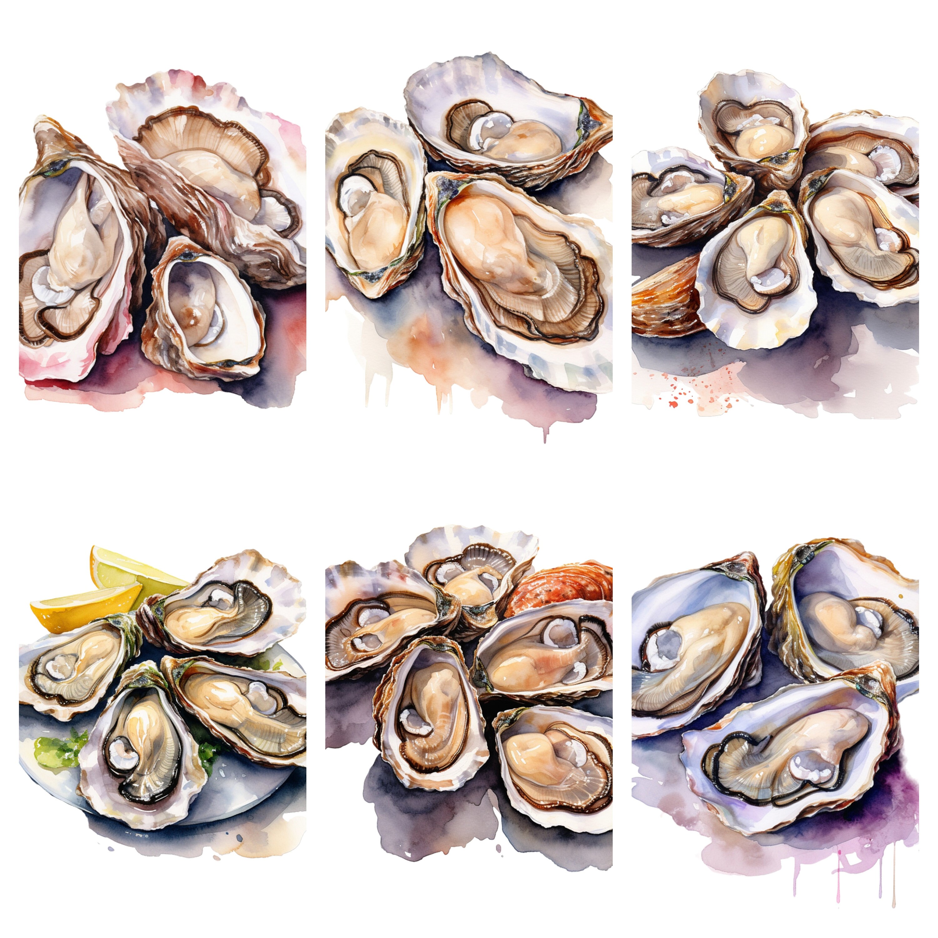 Watercolor Oysters Clipart, PNG Digital Files on Transparent Background ...