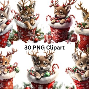 May include: Ten digital illustrations of cute cartoon wolf pups wearing reindeer antlers and sitting in red and white Christmas stockings. The pups are surrounded by candy canes, baubles, and other Christmas decorations.