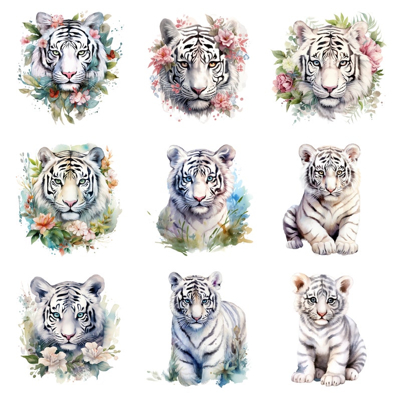 May include: Nine watercolor paintings of white tigers in various poses, surrounded by flowers and foliage. The tigers are depicted with realistic detail, including their stripes and whiskers.