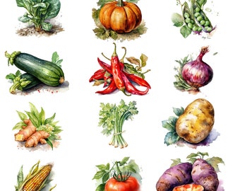 Vegetables Bundle, Watercolour, clipart, 32 beautiful PNG images, transparent background, 12x12, commercial use