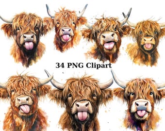 34 lustige Highland Kühe Aquarell Clipart, Tiere Clipart, PNG einzelne Bilder auf transparentem Hintergrund, Sublimation