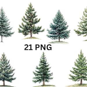 Clipart di alberi di pino ad acquerello / 21 immagini PNG singole su sfondo trasparente, sublimazione
