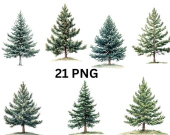Watercolor Pine Tree Clipart | 21 PNG individual images on transparent background, sublimation