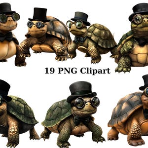 19 Gentleman Schildkröten Aquarell Clipart, Tiere Clipart, PNG einzelne Bilder auf transparentem Hintergrund, Sublimation