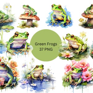 Aquarel groene kikkers clipart, schattige bloemenkikkers, digitale PNG-bestanden op transparante achtergrond, commercieel gebruik