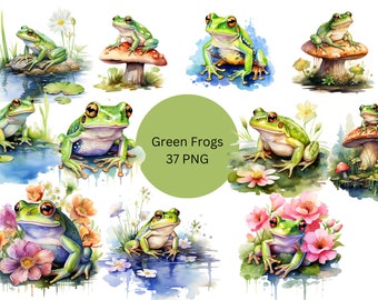 Aquarell grüne Frösche Clipart, süße florale Frösche, PNG digitale Dateien auf transparentem Hintergrund, kommerzielle Nutzung