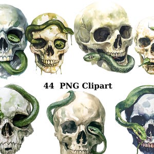 44 Crânios com Clipart de Cobra, Clipart de Halloween, imagens individuais PNG em fundo transparente, sublimação