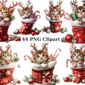 44 Weihnachtskätzchen in den Strümpfen Clipart, Weihnachtscliparts, PNG einzelne Bilder auf transparentem Hintergrund, Sublimation
