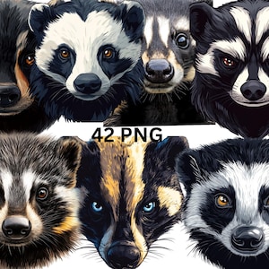 42 Badger Clipart, Realistic and Cartoon Badger PNG, Digital Badger,  Transparent Background,Commercial Use, Instant Download