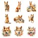 Watercolor Dingoes Clipart, PNG Digital Files on a Transparent ...