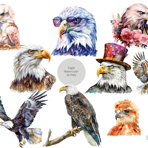 Watercolor Eagle Clipart, PNG individual images on transparent background, sublimation, commercial use