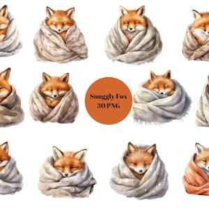 30 Snuggly Foxes Acquerello Clipart, Clipart per bambini, Clipart animali, singole immagini PNG su sfondo trasparente, sublimazione