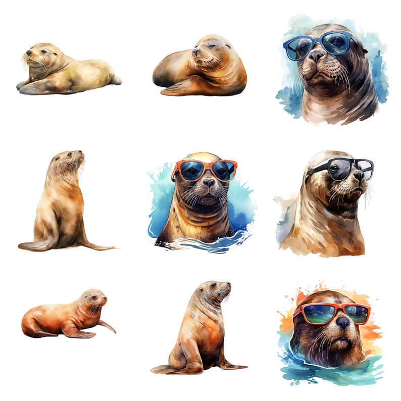 May include: A collection of nine watercolor paintings featuring sea lions wearing sunglasses. The sea lions are depicted in various poses, some with their heads tilted, others with their mouths open, and some with their eyes closed. The paintings are set against a background of blue and green watercolor washes.