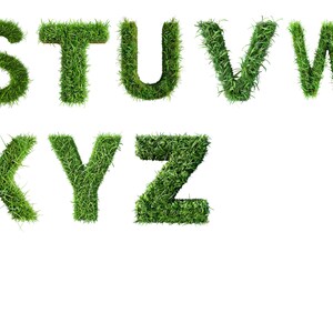 May include: The letters S, T, U, V, W, X, Y, and Z are formed from green grass.