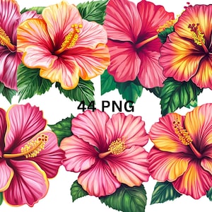 44 Hibiscus Flower Clipart Set, Tropical Floral PNG, Summer Beach Stickers, Exotic Flower Art, Digital Download, Transparent Background