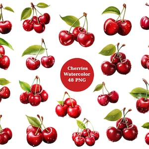 Watercolor 48 Cherries Clipart, PNG individual images on transparent background