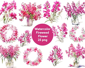 Watercolor fireweed floral in PNG for commercial use instant download High resolution, 12x12, commercial use