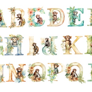 Alphabet de singe, lettres png, alphabet png, téléchargement immédiat pour un usage commercial, haute résolution, 12 x 12, usage commercial