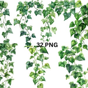32 groene klimopbladeren aquarel clipart, digitale PNG-bestanden op transparante achtergrond, sublimatie, commercieel gebruik