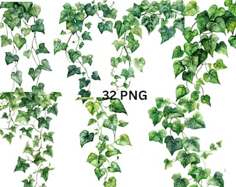 Efeu Digitales Papier. Efeu Clipart. Efeu Tapete Clipart. Poison Ivy  Scrapbooking Clipart, Blattlaub, Aquarell Efeu Ranken Muster. - Etsy.de