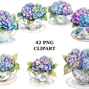 Tazza da tè vintage con ortensia Clipart, 42 immagini PNG acquerello, elegante design floreale su sfondo trasparente